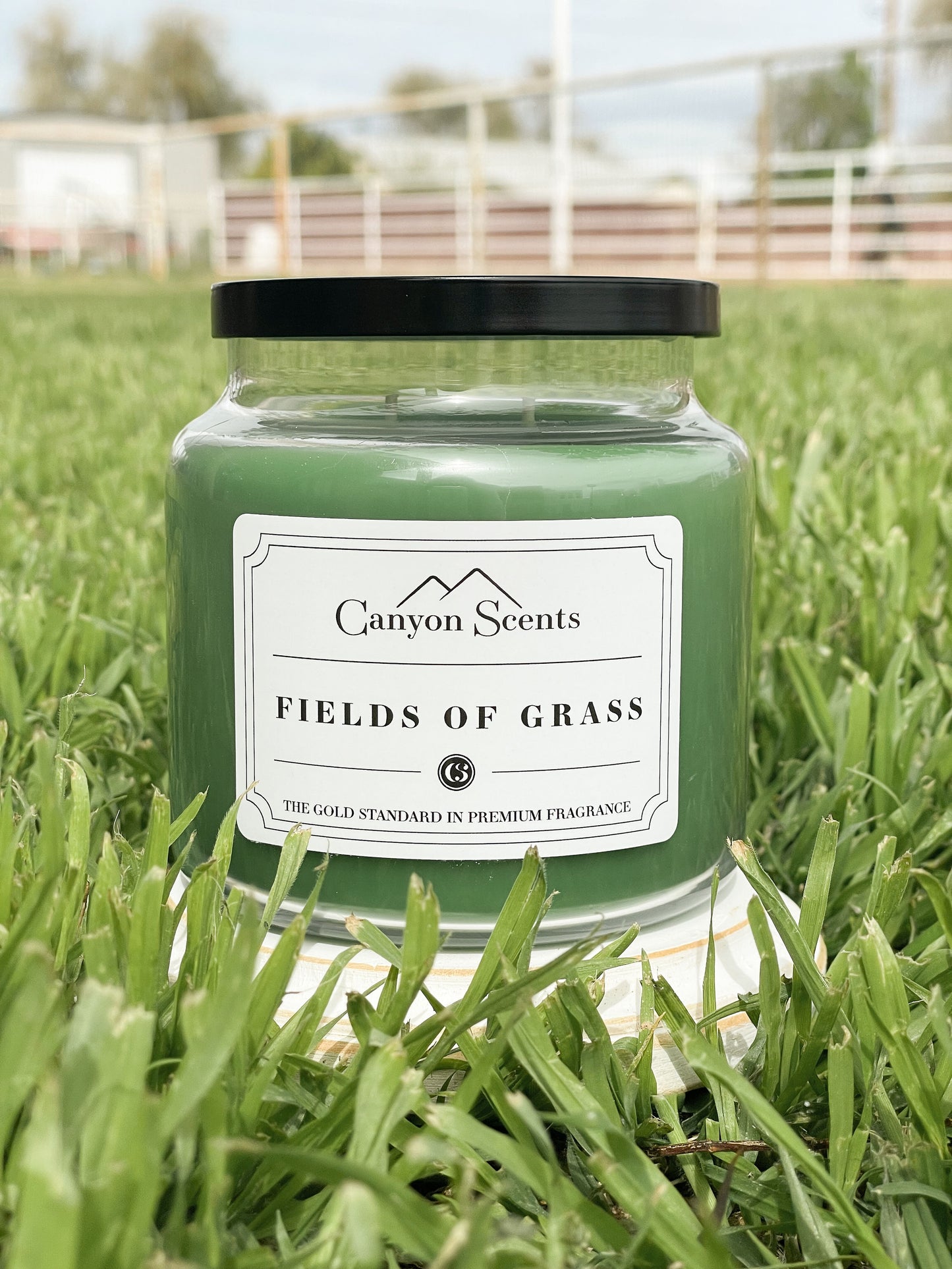 Fields of Grass Canyon Scents Candles