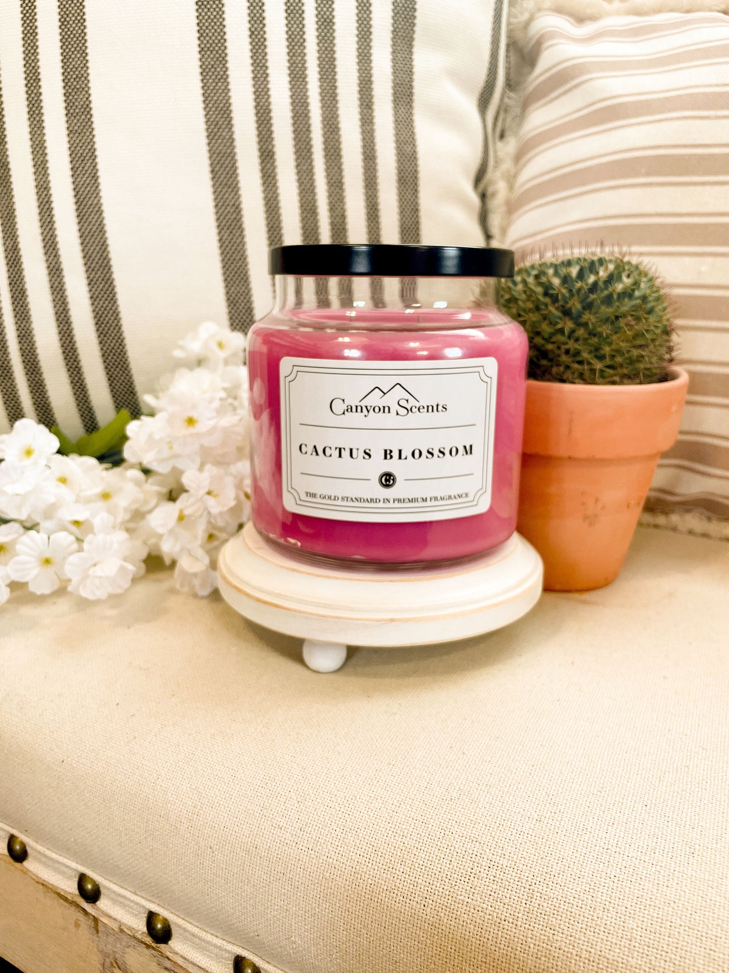 Cactus Blossom Canyon Scents Candles