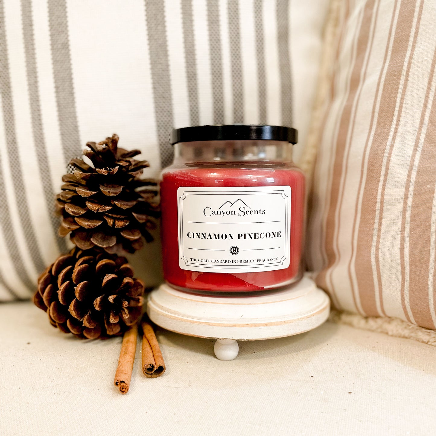 Cinnamon Pinecone Canyon Scents Candles