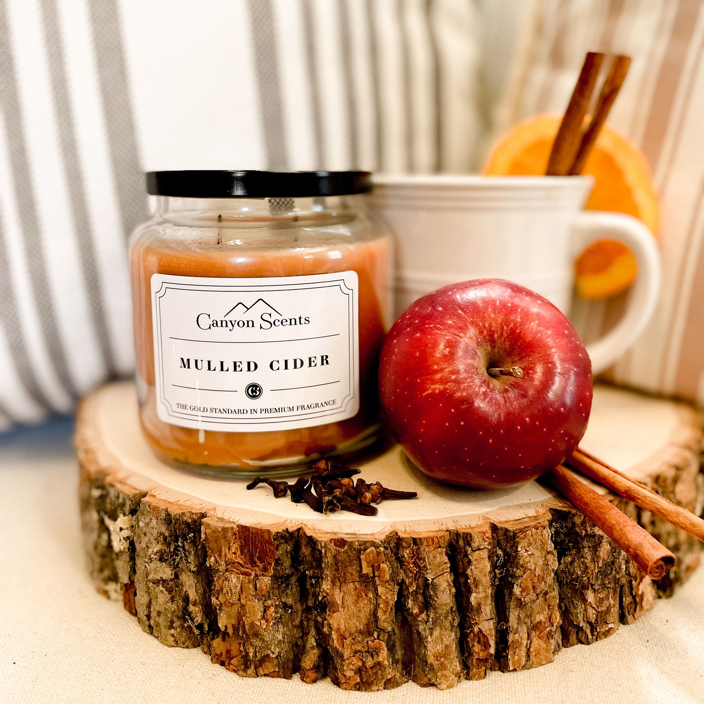 Mulled Cider Canyon Scents Candles