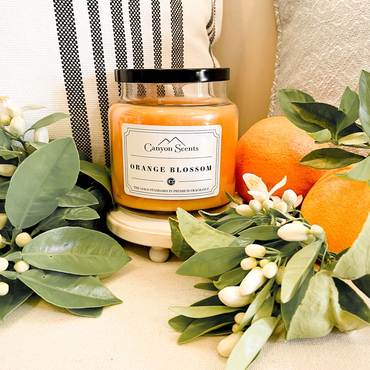 Orange Blossom Canyon Scents Candles