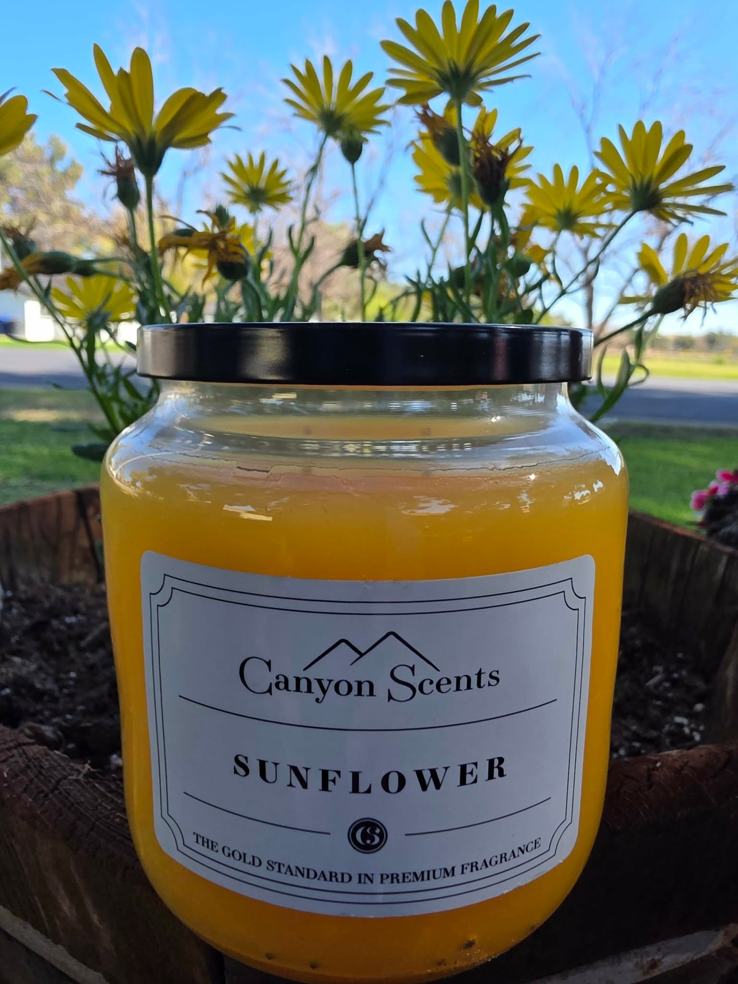 Sunflower Canyon Scents Candles