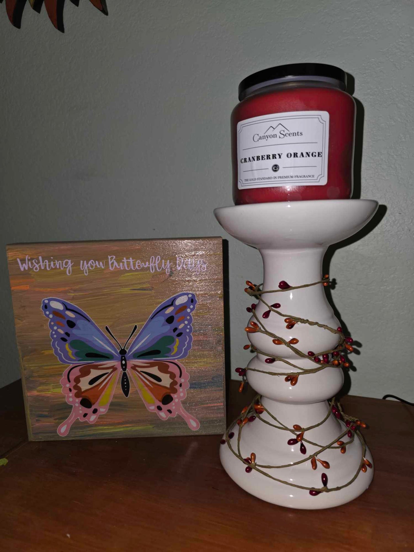 Cranberry Orange Canyon Scents Candles