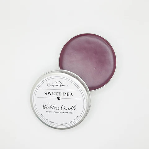 Wickless Sweet Pea